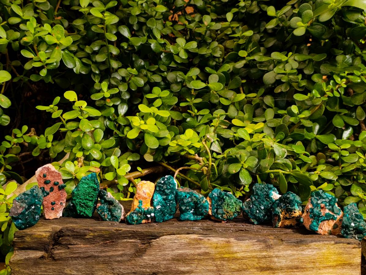 Natural Dioptase On Dolomite with Malachite Specimens x 12 From Likasi, Congo - Toprock Gemstones and Minerals 