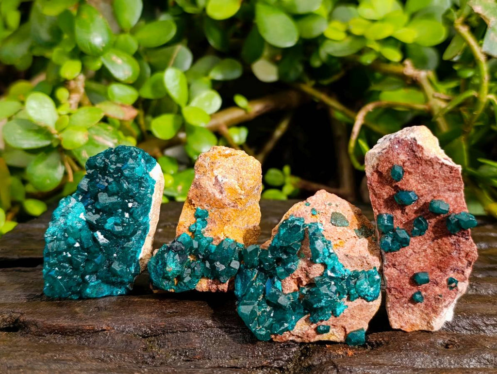 Natural Dioptase On Dolomite with Malachite Specimens x 12 From Likasi, Congo - Toprock Gemstones and Minerals 