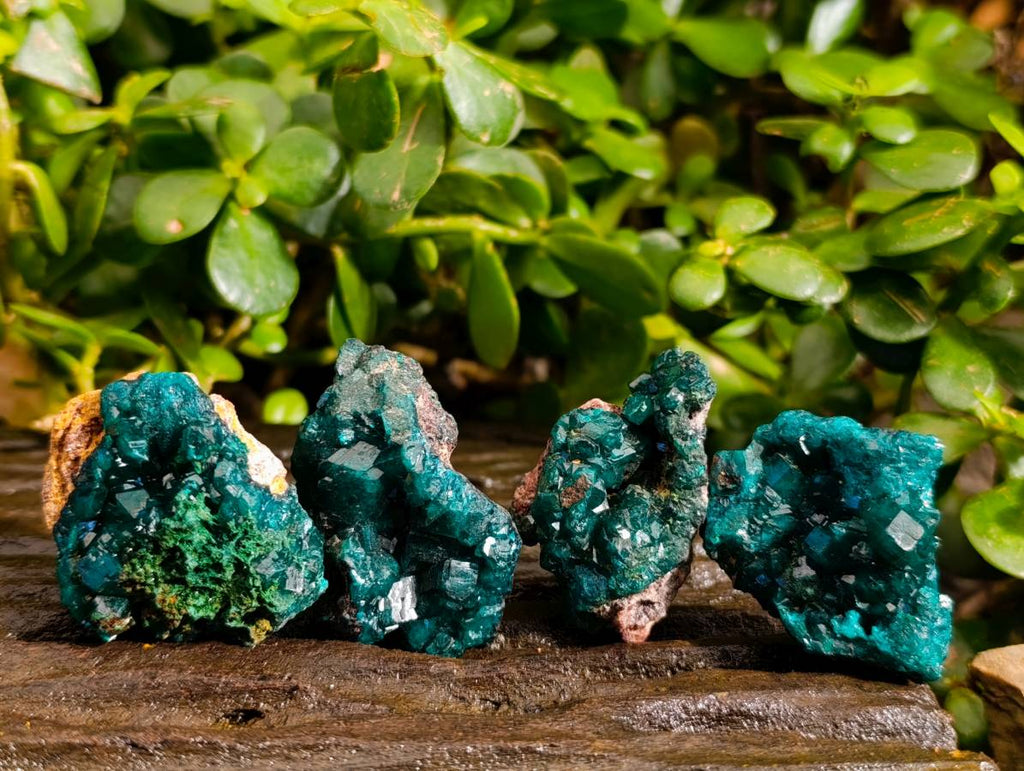 Natural Dioptase On Dolomite with Malachite Specimens x 12 From Likasi, Congo - Toprock Gemstones and Minerals 