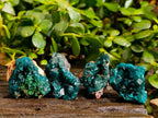 Natural Dioptase On Dolomite with Malachite Specimens x 12 From Likasi, Congo - Toprock Gemstones and Minerals 