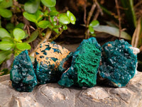 Natural Dioptase On Dolomite with Malachite Specimens x 12 From Likasi, Congo