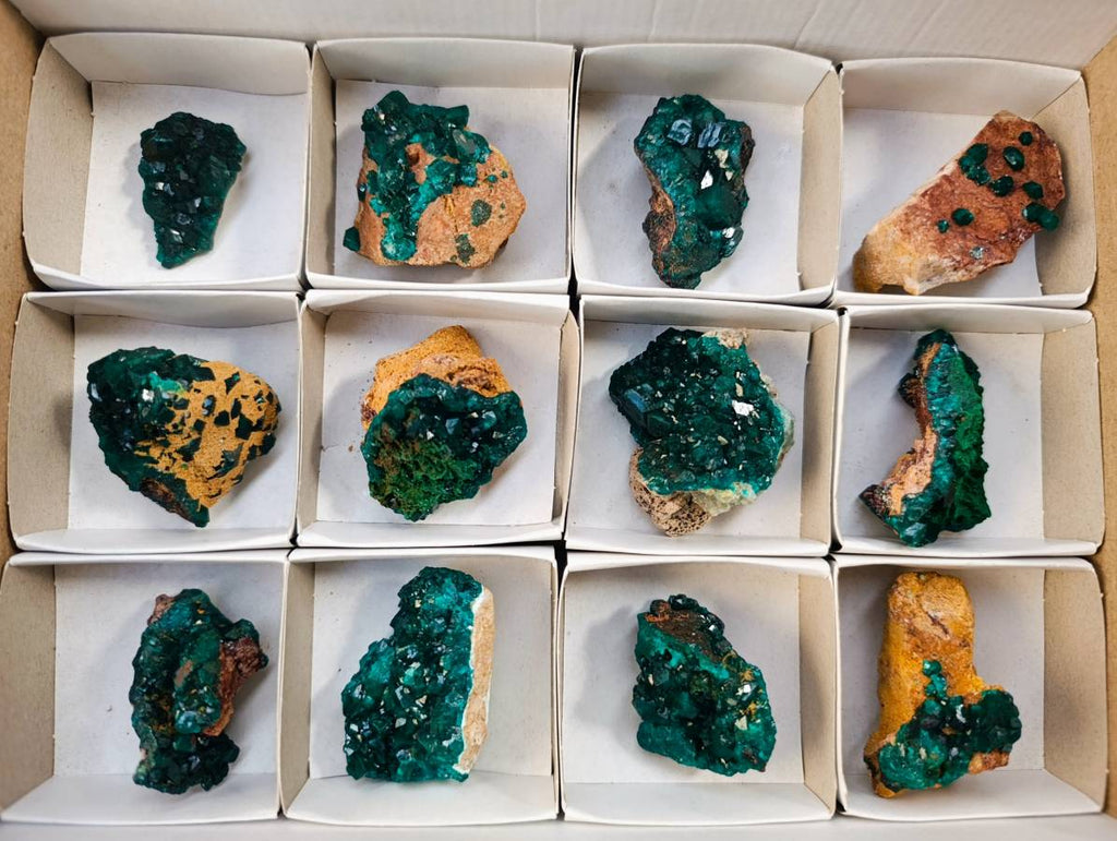 Natural Dioptase On Dolomite with Malachite Specimens x 12 From Likasi, Congo - Toprock Gemstones and Minerals 