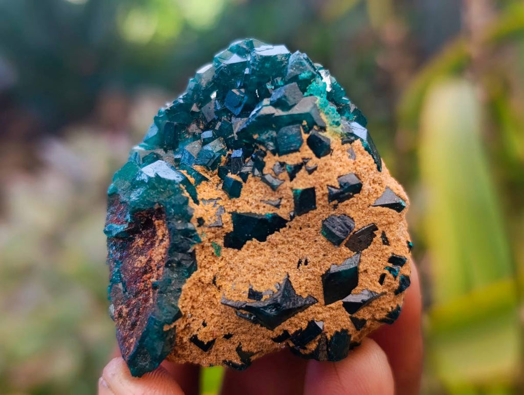 Natural Dioptase On Dolomite with Malachite Specimens x 12 From Likasi, Congo - Toprock Gemstones and Minerals 