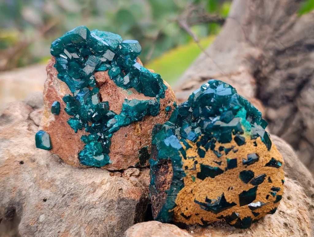Natural Dioptase On Dolomite with Malachite Specimens x 12 From Likasi, Congo - Toprock Gemstones and Minerals 