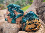 Natural Dioptase On Dolomite with Malachite Specimens x 12 From Likasi, Congo - Toprock Gemstones and Minerals 