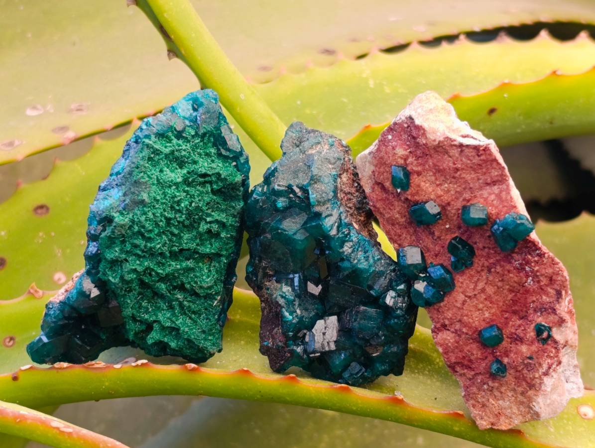 Natural Dioptase On Dolomite with Malachite Specimens x 12 From Likasi, Congo - Toprock Gemstones and Minerals 