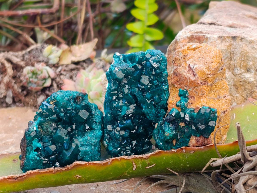 Natural Dioptase On Dolomite with Malachite Specimens x 12 From Likasi, Congo - Toprock Gemstones and Minerals 