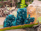 Natural Dioptase On Dolomite with Malachite Specimens x 12 From Likasi, Congo - Toprock Gemstones and Minerals 