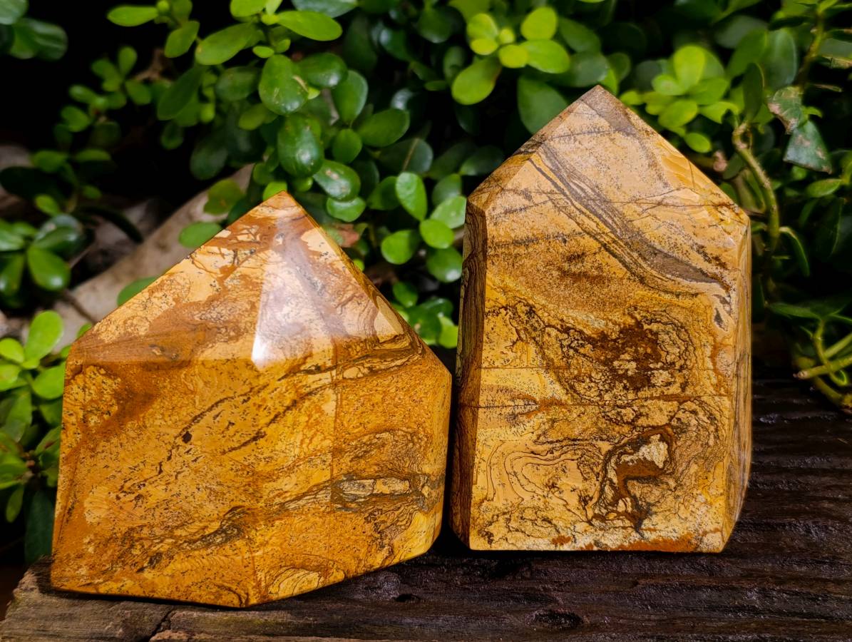 Polished Picture Stone Jasper Points x 2 From Ais-Ais, Namibia - Toprock Gemstones and Minerals 
