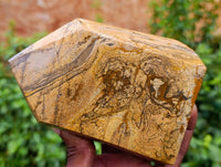 Polished Picture Stone Jasper Points x 2 From Ais-Ais, Namibia