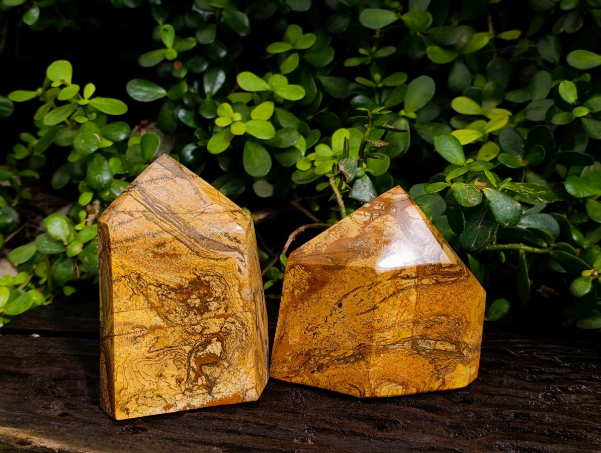 Polished Picture Stone Jasper Points x 2 From Ais-Ais, Namibia - Toprock Gemstones and Minerals 