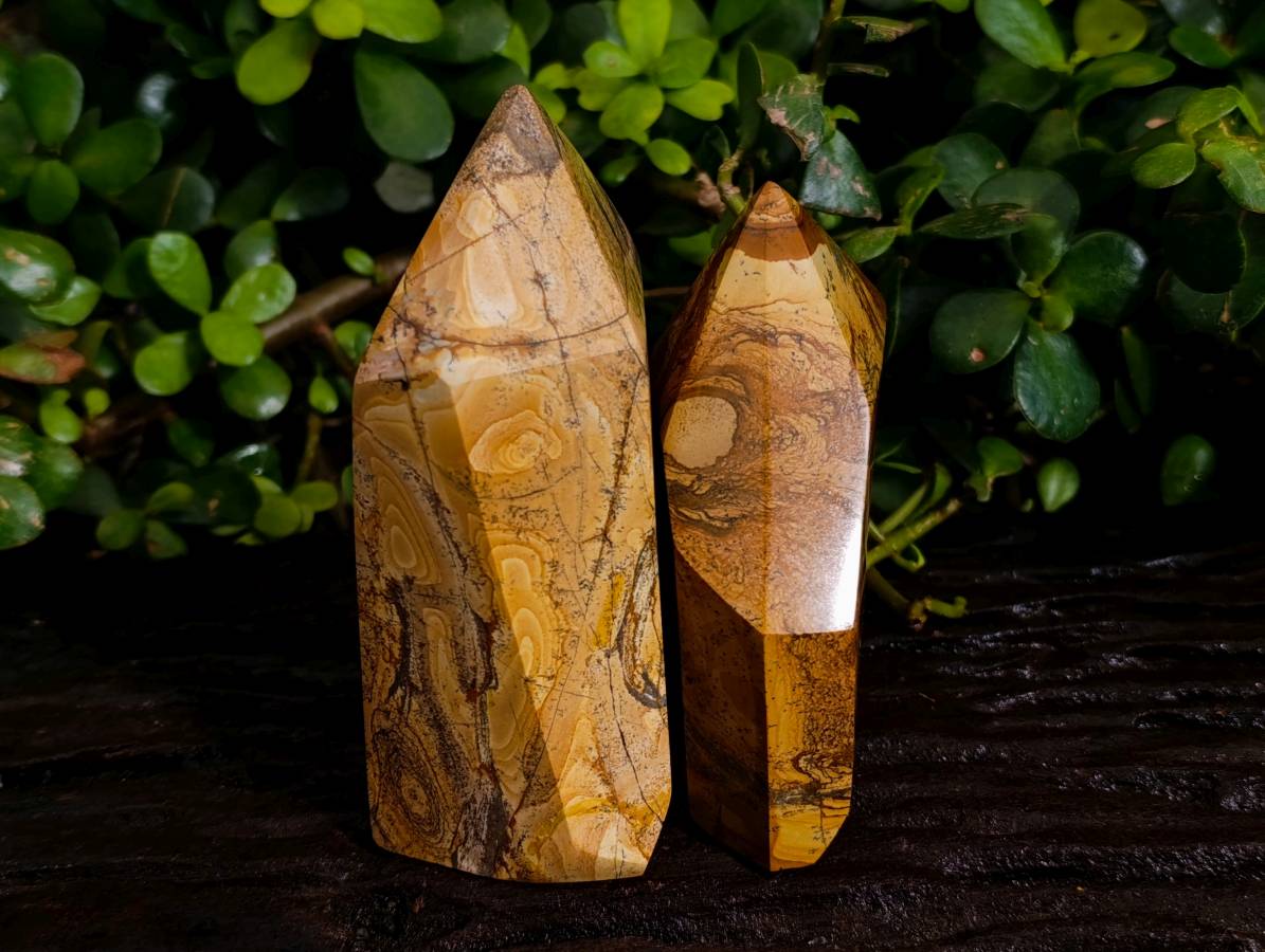 Polished Picture Stone Jasper Points x 2 From Ais-Ais, Namibia - Toprock Gemstones and Minerals 