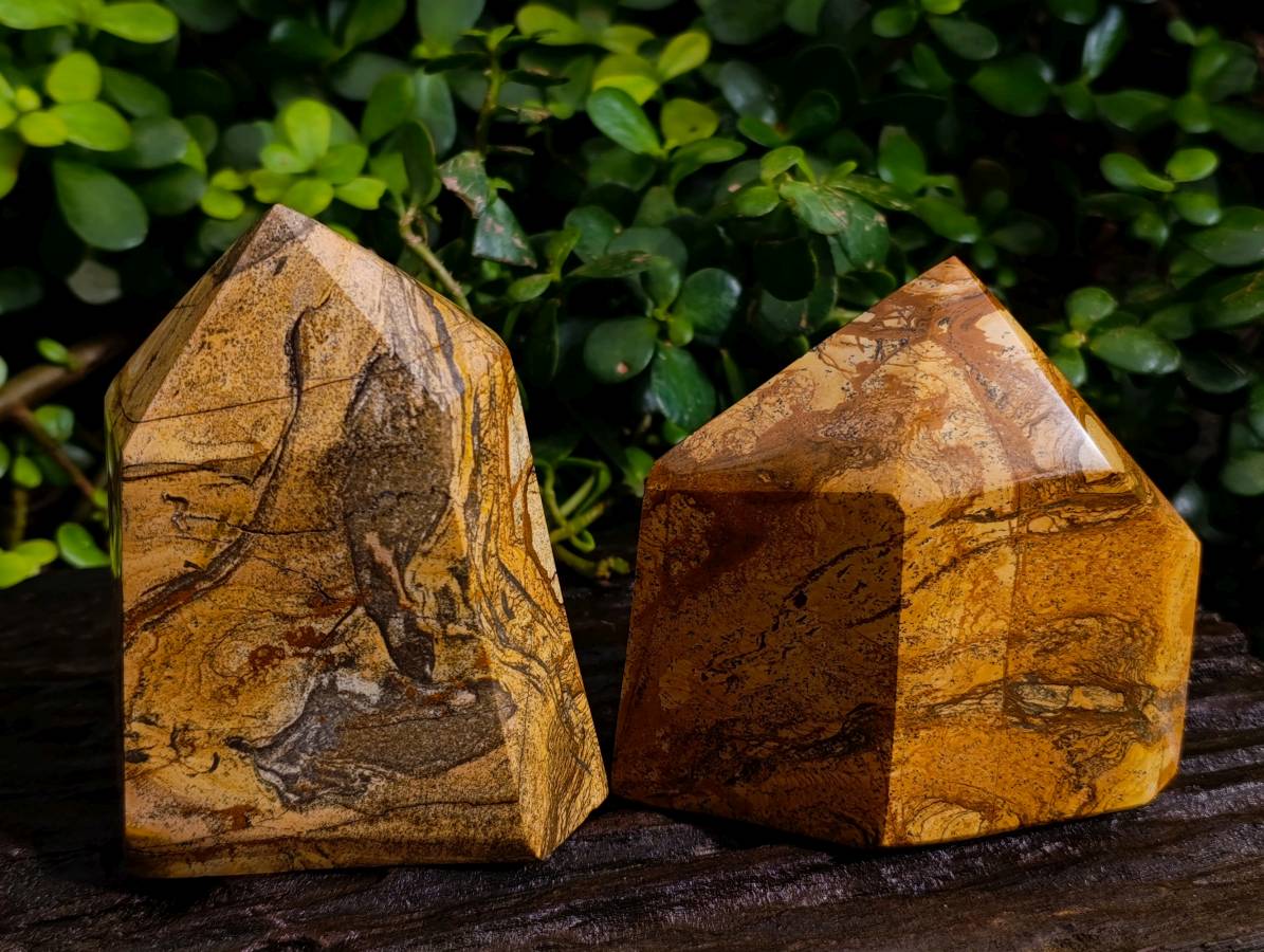 Polished Picture Stone Jasper Points x 2 From Ais-Ais, Namibia - Toprock Gemstones and Minerals 