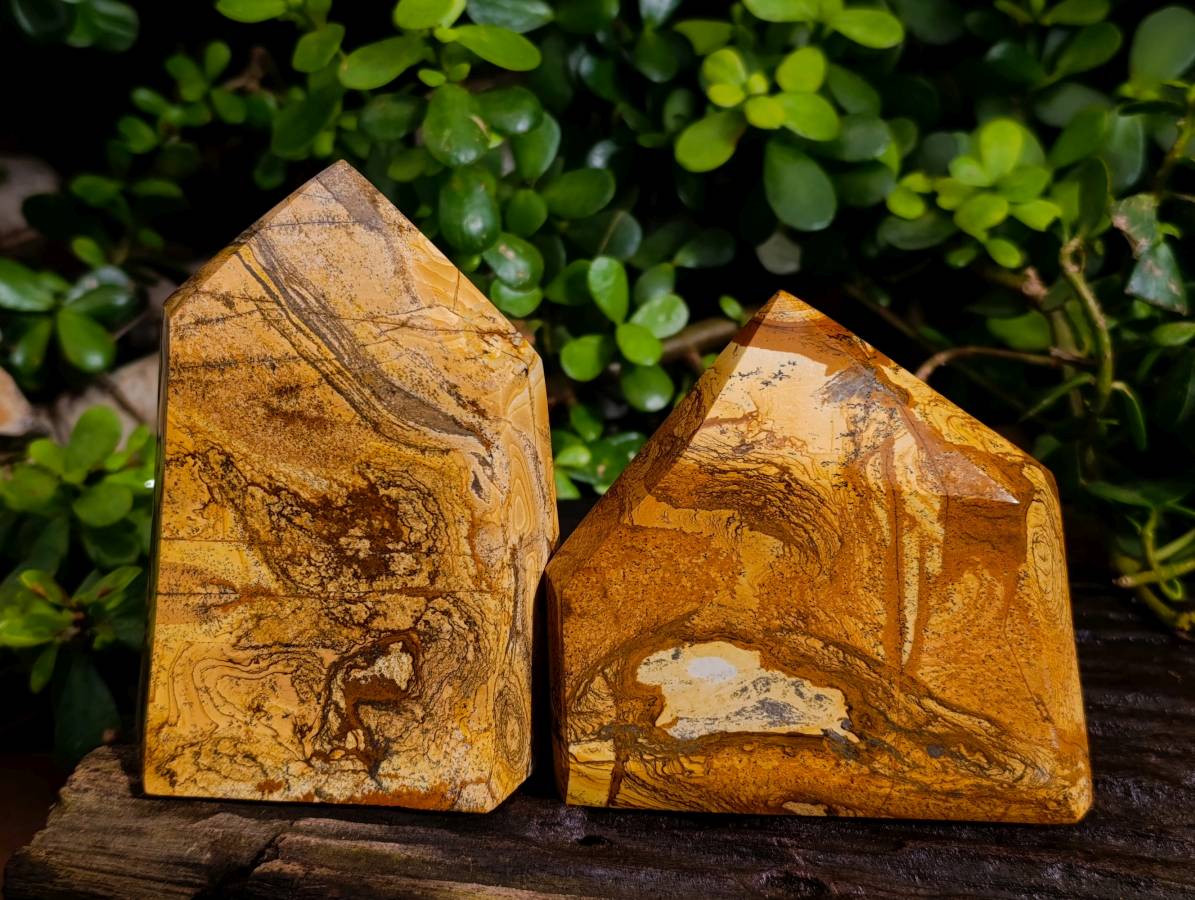 Polished Picture Stone Jasper Points x 2 From Ais-Ais, Namibia - Toprock Gemstones and Minerals 