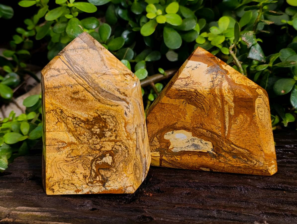 Polished Picture Stone Jasper Points x 2 From Ais-Ais, Namibia - Toprock Gemstones and Minerals 