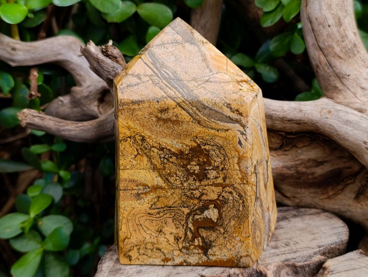 Polished Picture Stone Jasper Points x 2 From Ais-Ais, Namibia - Toprock Gemstones and Minerals 