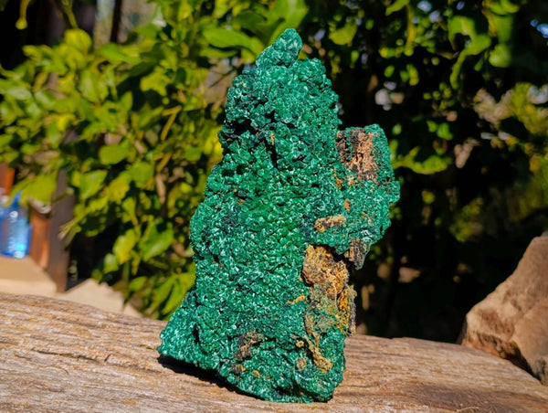 Natural Botryoidal Silky Malachite Specimens x 1 From Kasompe, Congo