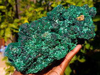 Natural Botryoidal Silky Malachite Specimens x 1 From Kasompe, Congo