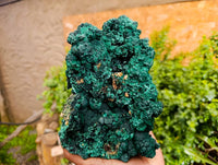 Natural Botryoidal Silky Malachite Specimens x 1 From Kasompe, Congo