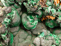 Natural Botryoidal Silky Malachite Specimens x 1 From Kasompe, Congo