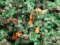 Natural Botryoidal Silky Malachite Specimens x 1 From Kasompe, Congo