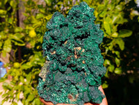 Natural Botryoidal Silky Malachite Specimens x 1 From Kasompe, Congo