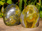 Polished Green Opal Standing Free Forms x 4 From Betroka, Madagascar - Toprock Gemstones and Minerals 