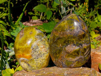 Polished Green Opal Standing Free Forms x 4 From Betroka, Madagascar