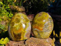 Polished Green Opal Standing Free Forms x 4 From Betroka, Madagascar