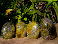 Polished Green Opal Standing Free Forms x 4 From Betroka, Madagascar