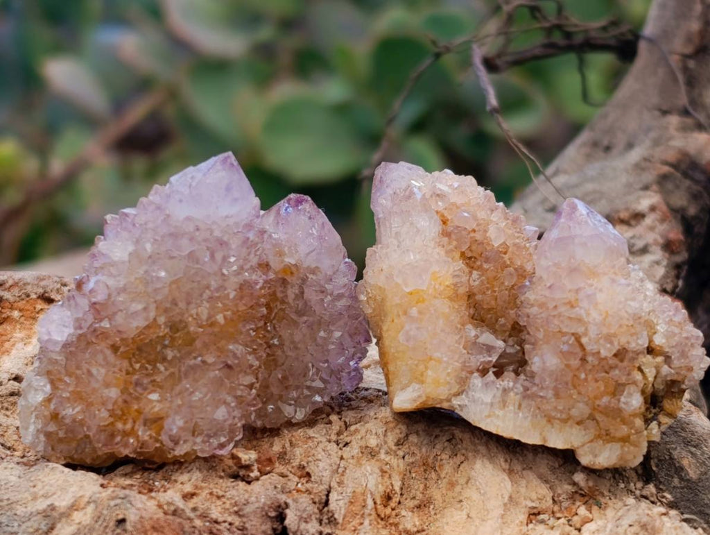 Natural Amethyst Spirit Quartz Clusters x 12 From Boekenhouthoek, South Africa - Toprock Gemstones and Minerals 