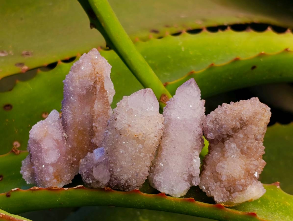 Natural Amethyst Spirit Quartz Clusters x 12 From Boekenhouthoek, South Africa - Toprock Gemstones and Minerals 