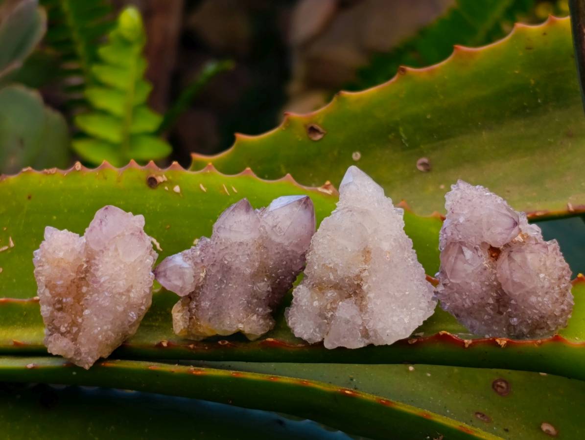 Natural Amethyst Spirit Quartz Clusters x 12 From Boekenhouthoek, South Africa - Toprock Gemstones and Minerals 