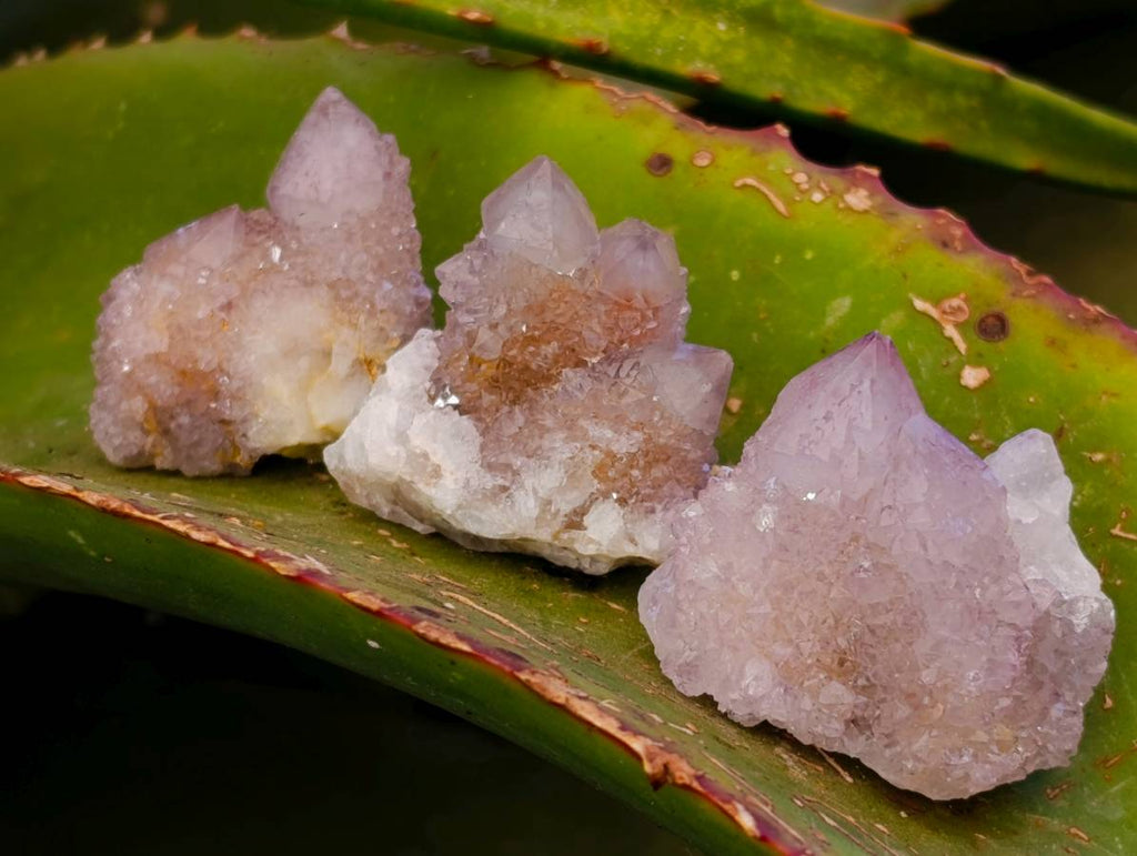 Natural Amethyst Spirit Quartz Clusters x 12 From Boekenhouthoek, South Africa - Toprock Gemstones and Minerals 
