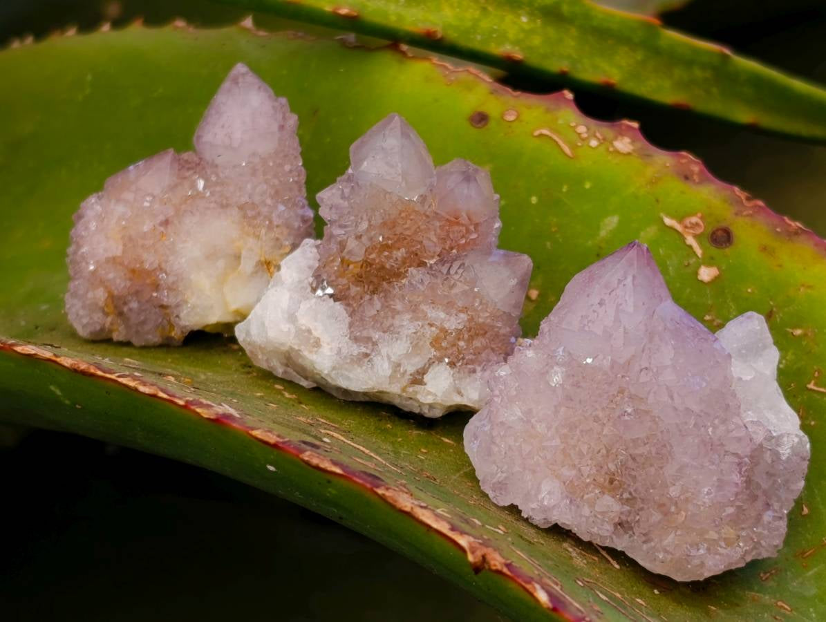 Natural Amethyst Spirit Quartz Clusters x 12 From Boekenhouthoek, South Africa - Toprock Gemstones and Minerals 