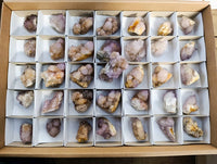 Natural Amethyst Spirit Quartz Clusters x 12 From Boekenhouthoek, South Africa