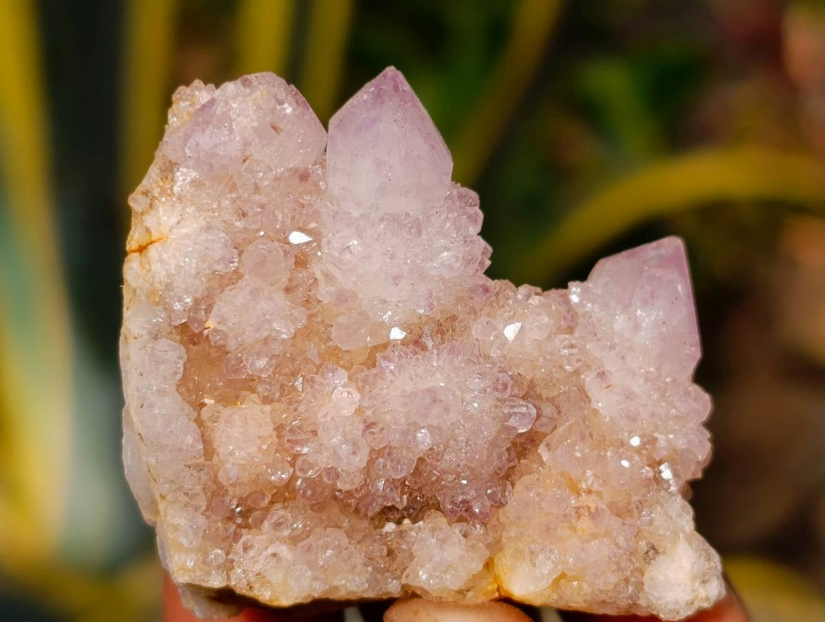 Natural Amethyst Spirit Quartz Clusters x 12 From Boekenhouthoek, South Africa - Toprock Gemstones and Minerals 