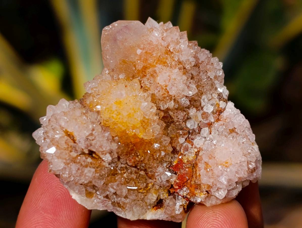 Natural Amethyst Spirit Quartz Clusters x 12 From Boekenhouthoek, South Africa - Toprock Gemstones and Minerals 