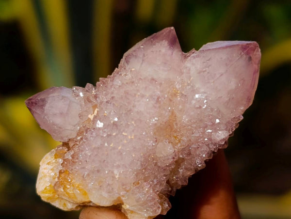 Natural Amethyst Spirit Quartz Clusters x 12 From Boekenhouthoek, South Africa