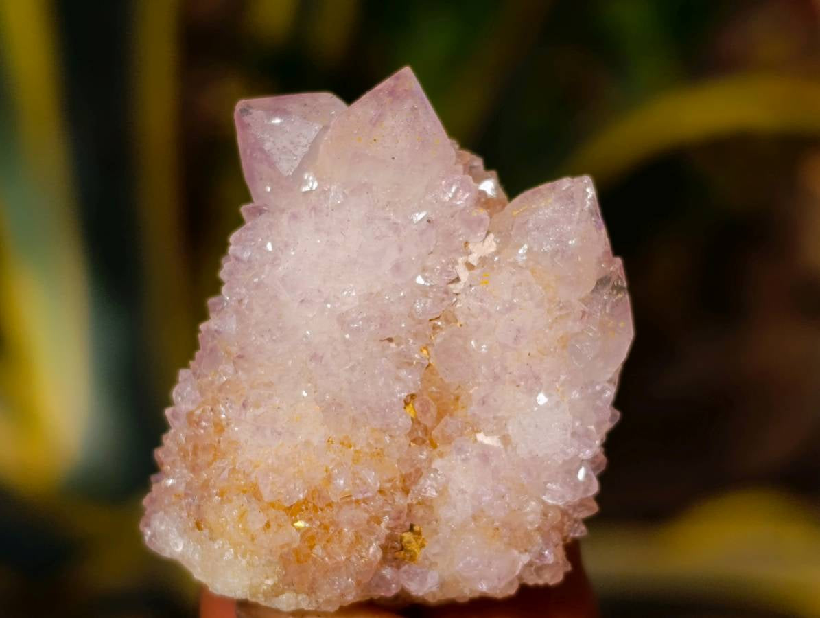Natural Amethyst Spirit Quartz Clusters x 12 From Boekenhouthoek, South Africa - Toprock Gemstones and Minerals 