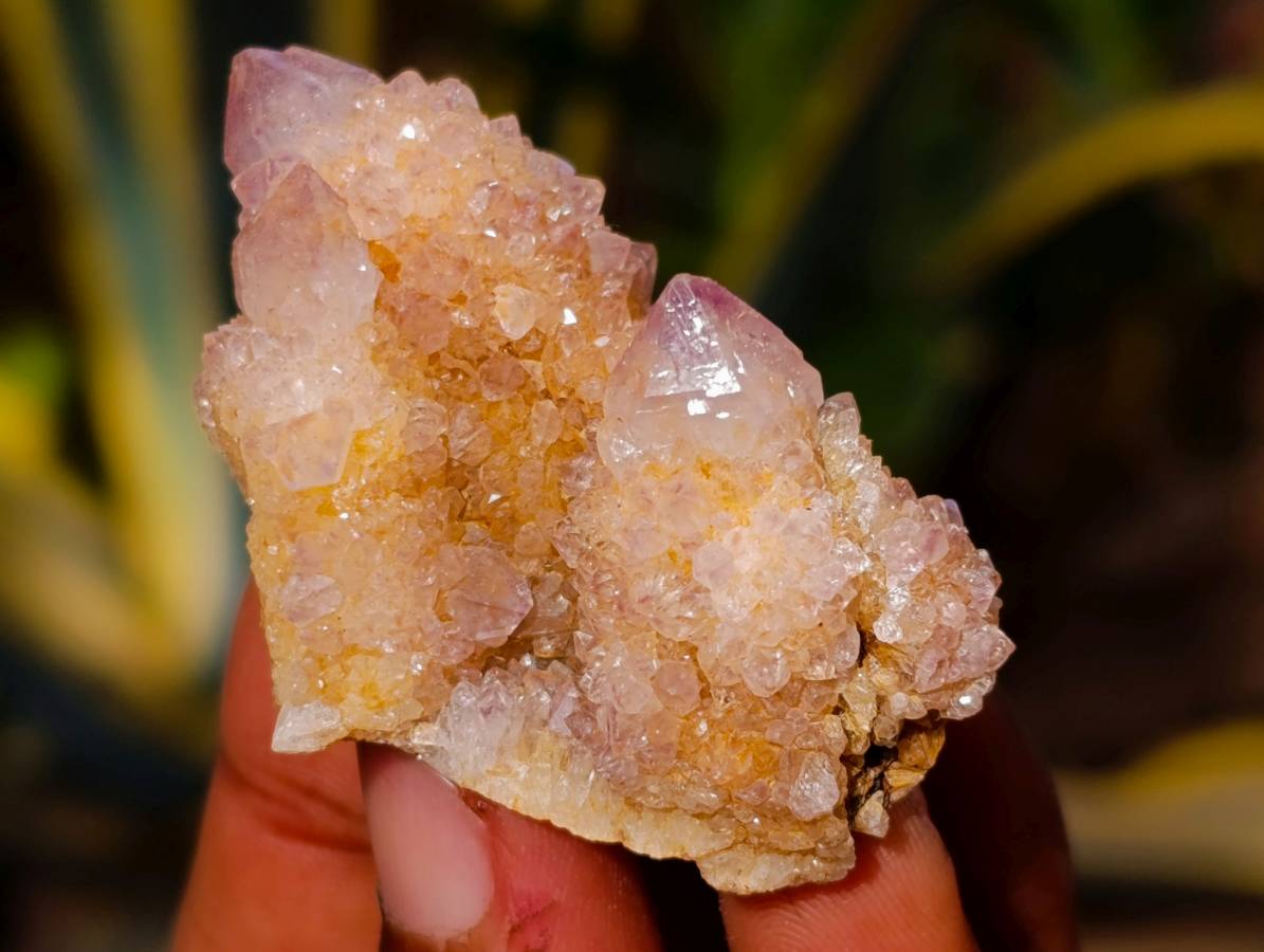 Natural Amethyst Spirit Quartz Clusters x 12 From Boekenhouthoek, South Africa - Toprock Gemstones and Minerals 