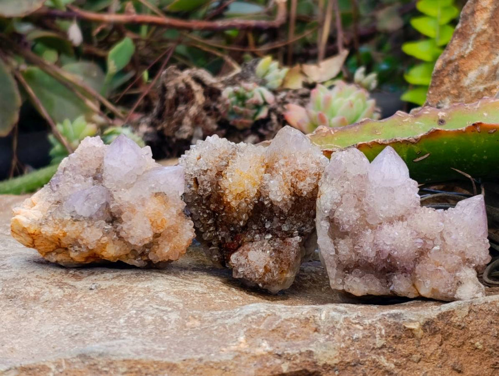 Natural Amethyst Spirit Quartz Clusters x 12 From Boekenhouthoek, South Africa - Toprock Gemstones and Minerals 