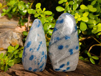 Polished Blue Spinel Spotted Quartz Standing Free Form x 2 From Madagascar