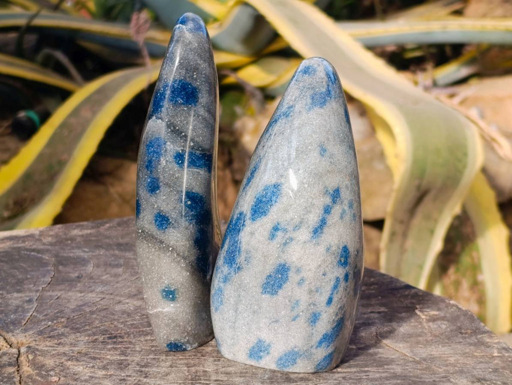 Polished Blue Spinel Spotted Quartz Standing Free Form x 2 From Madagascar - Toprock Gemstones and Minerals 