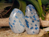 Polished Blue Spinel Spotted Quartz Standing Free Form x 2 From Madagascar