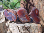 Polished On One Side Red Sashe River Agate Nodules x 20 From Zimbabwe - Toprock Gemstones and Minerals 