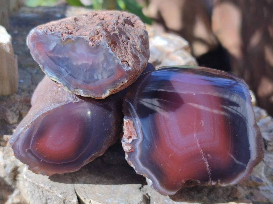 Polished On One Side Red Sashe River Agate Nodules x 20 From Zimbabwe - Toprock Gemstones and Minerals 