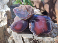 Polished On One Side Red Sashe River Agate Nodules x 20 From Zimbabwe - Toprock Gemstones and Minerals 