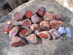 Polished On One Side Red Sashe River Agate Nodules x 20 From Zimbabwe - Toprock Gemstones and Minerals 