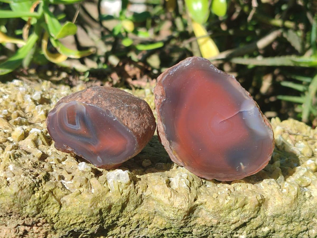 Polished On One Side Red Sashe River Agate Nodules x 20 From Zimbabwe - Toprock Gemstones and Minerals 